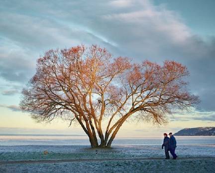 640?wx_fmt=png&tp=webp&wxfrom=5&wx_lazy=