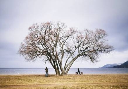 640?wx_fmt=png&tp=webp&wxfrom=5&wx_lazy=