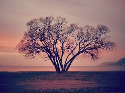 640?wx_fmt=png&tp=webp&wxfrom=5&wx_lazy=