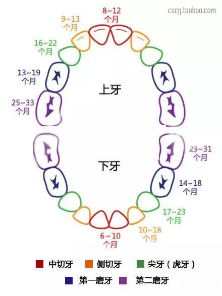 小两口该知道的怀孕常识!太全了,千万别错过 !