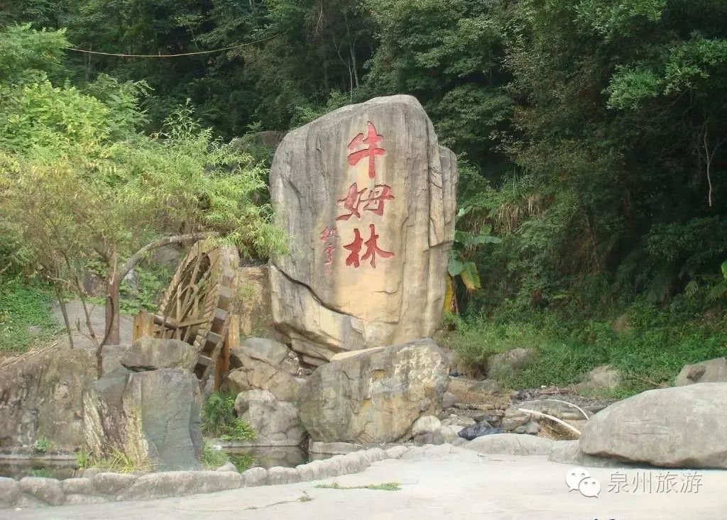永春牛姆林被游客称誉为"闽南西双版纳",国家4a级生态旅游区