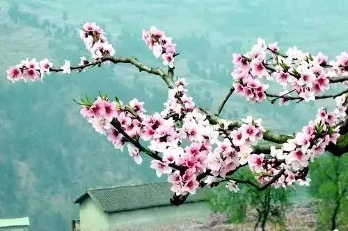 年味十足!盤點2月份中國最美的10個地方
