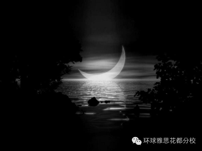 Dana Winner-《Moonlight Shadow》