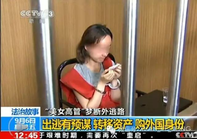 原泛鑫保险陈怡等集资诈骗案一审宣判 陈怡被判死缓