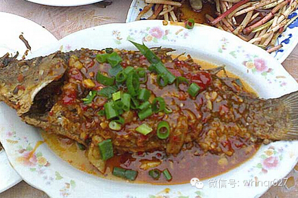 【原创】来汉阳必须吃的8家鱼馆，馋嘴！