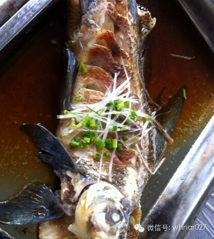 【原创】来汉阳必须吃的8家鱼馆，馋嘴！