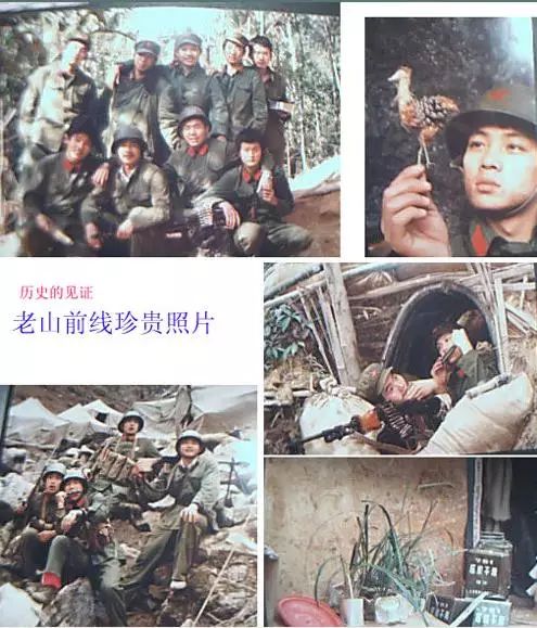 她的顽强的生命力就像战斗在老山前线的战士一样,不畏枪林弹雨,不畏风
