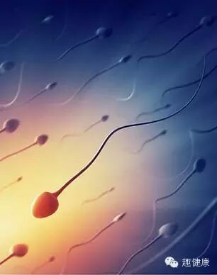 “二孩审批”将取消!大龄夫妻如何成功备孕?人间孕育指南-怀孕期