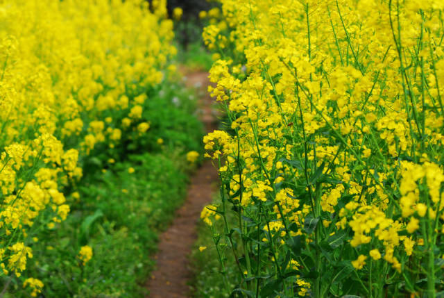 ☞ <wbr>细数乐山市中区及周边那些好耍的地方！