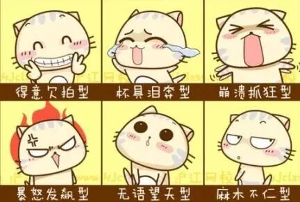 高考放榜啦！就算进不了心仪的大学，考生们也千万别来古镇创业！