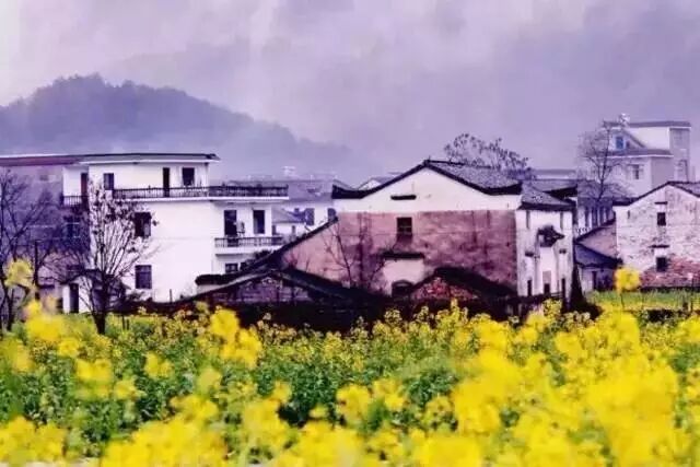 让耳朵怀孕的主题曲太好听,这部有料的片值得追!-怀孕期