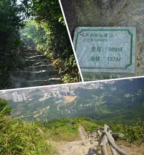 全长2146米的秀桐道是登顶梧桐山最短的道路,没有之一.