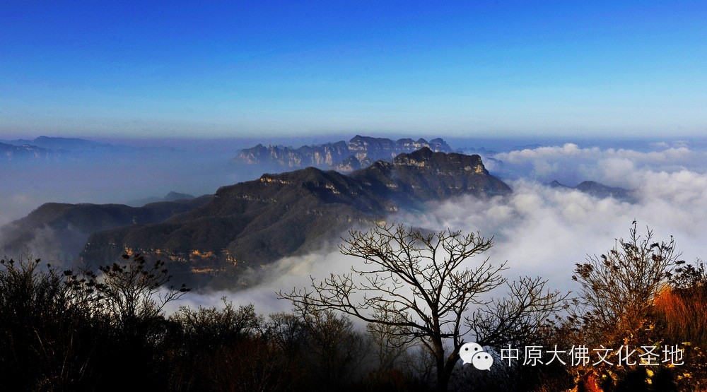 清明假期去哪兒玩？河南省內春游踏青好去處！