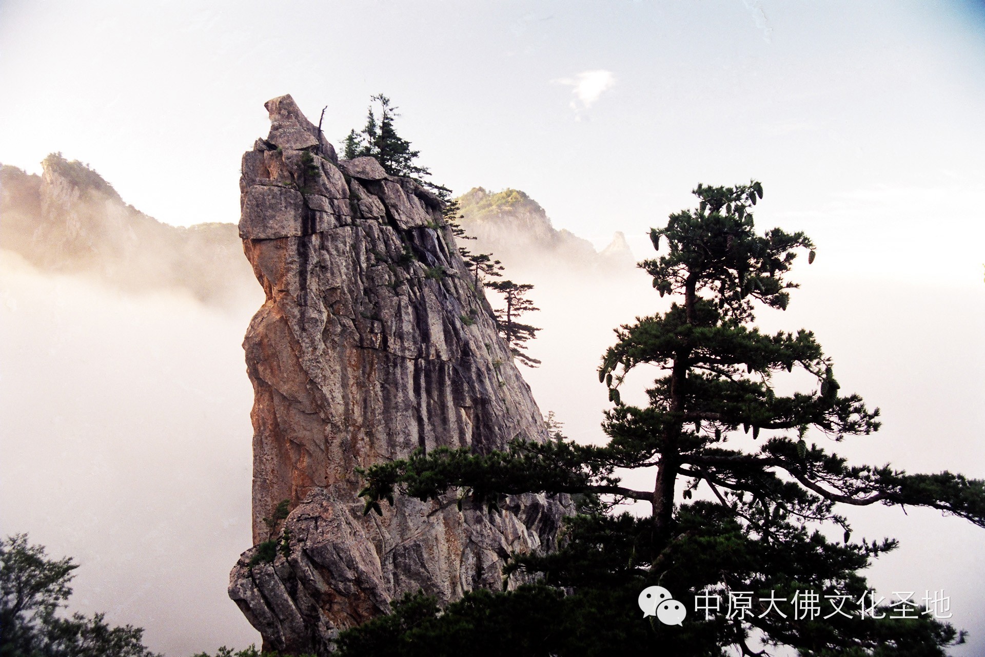 清明假期去哪兒玩？河南省內春游踏青好去處！