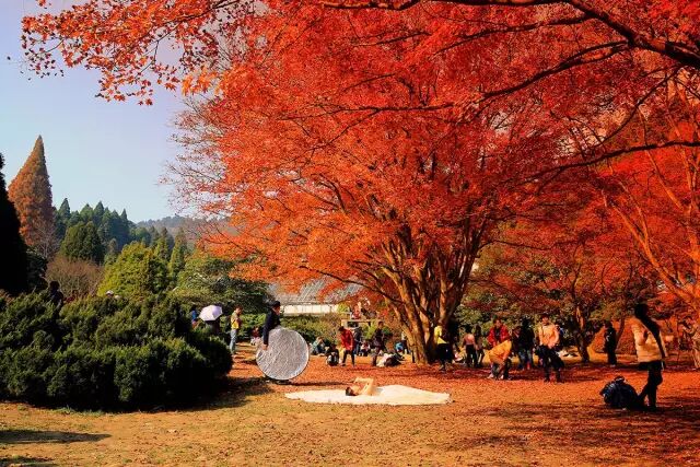江西城市有哪些著名产业_江西城市有哪些_江西城市有哪些地方