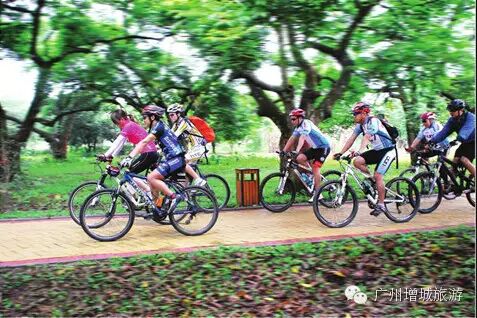 【增城绿道】莲塘春色