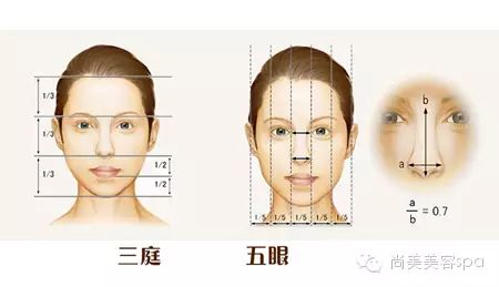 ——面部微整的美学标准