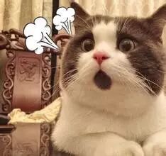 【趣谈】爸妈要生二胎,9岁女儿拟合同规定甲乙丙丁四方权责!法律人看看能打几分?-怀孕期