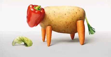 广告词语怎么写_广告词写作格式及示例_广告词怎么写