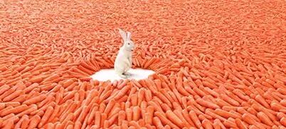 广告词语怎么写_广告词写作格式及示例_广告词怎么写