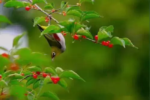 做人,格局要大 - 快乐者 快乐着 - shangshanruoshui的博客 做人,格局要大 - 快乐者 快乐着 - shangshanruoshui的博客