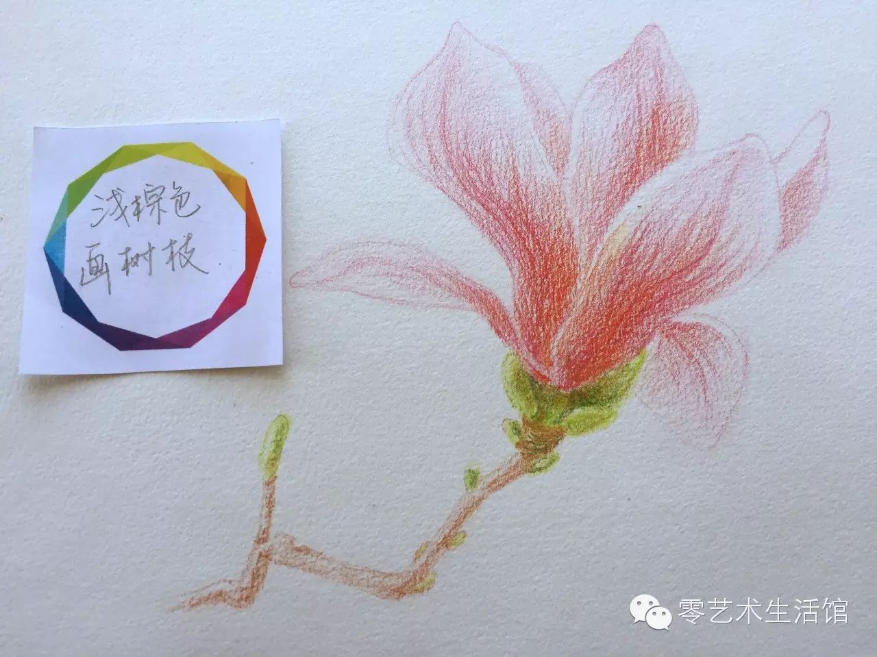 3月11日玉兰花彩铅线上素描教程——素心如花,素描如画