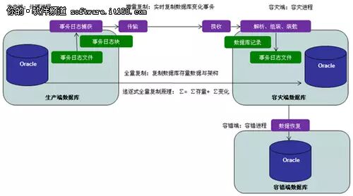 (图3)