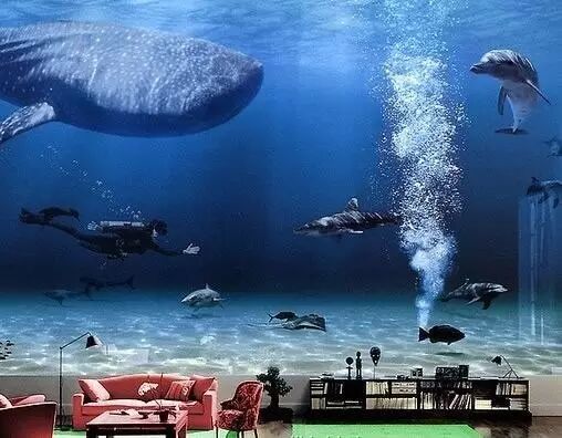 豪宅大揭秘，养鲸鱼、住古堡、高安保……你想得到吗？