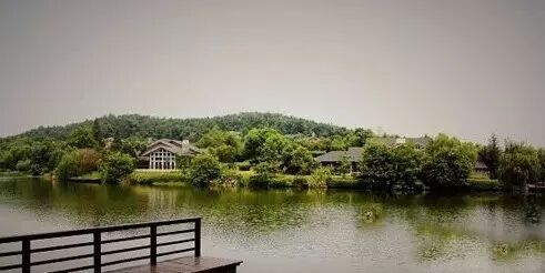 豪宅大揭秘，养鲸鱼、住古堡、高安保……你想得到吗？