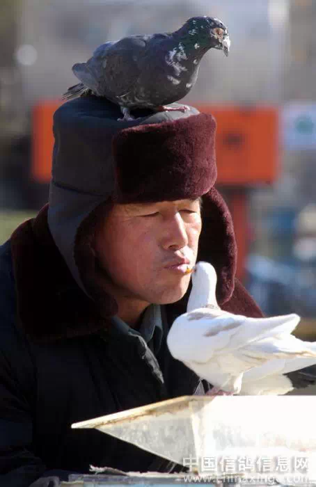 点击查看源网页