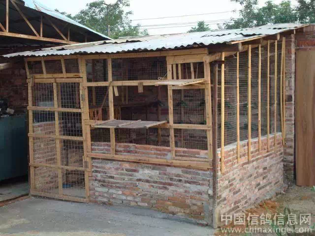 点击查看源网页