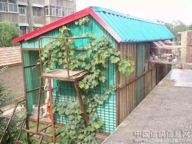 点击查看源网页