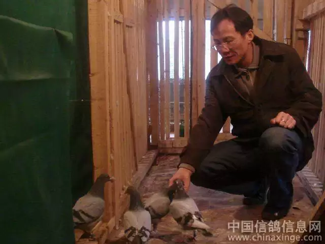 点击查看源网页