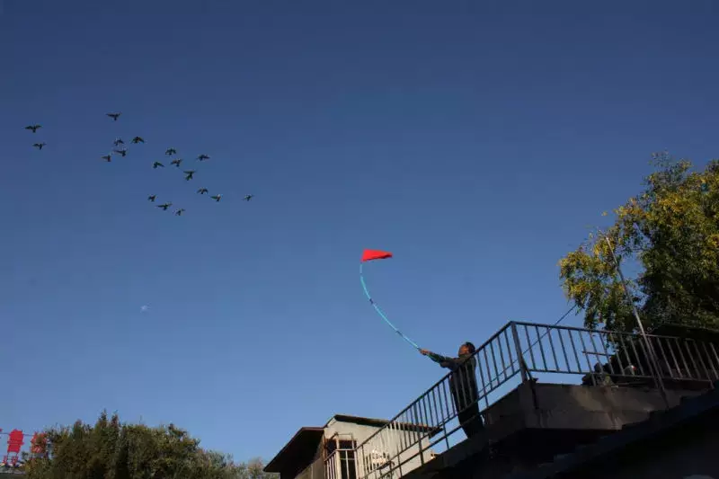 点击查看源网页