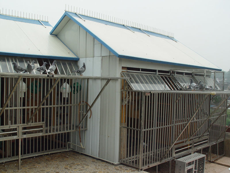 点击查看源网页