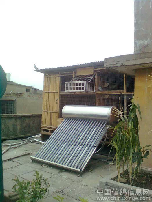 点击查看源网页