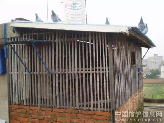 点击查看源网页