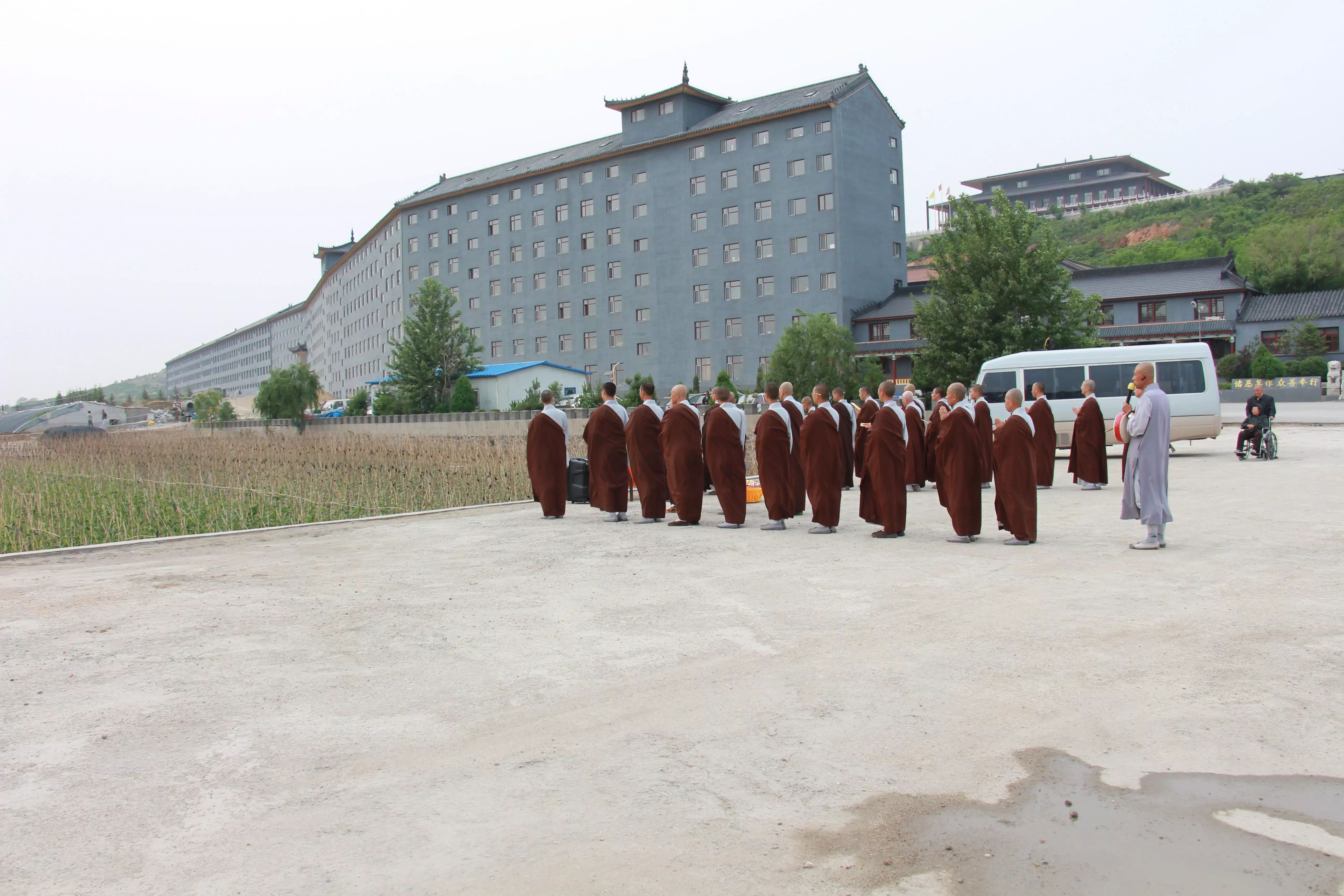 【辽宁省海城市大悲古寺菜地——不打农药,不上化肥.绿色纯天然蔬菜】