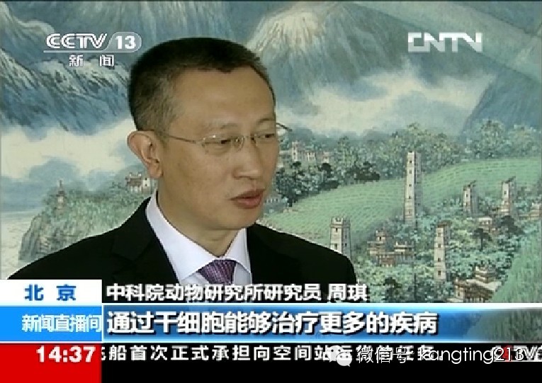 康婷研发干细胞，央视报道：干细胞----神奇的“万用细胞”