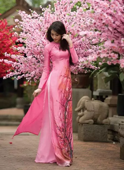秀色可餐-越南投资,越南私募基金,奥黛（Ao Dai），雷同于中国旗袍的越南的传统服装。越南官方也以为奥黛源自中国旗袍。奥黛通常使用丝绸等,越南证券,越南美女,(42)