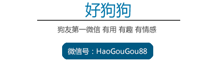 萌宠图片:地球上肿么会有狗，这种神经病的生物图片