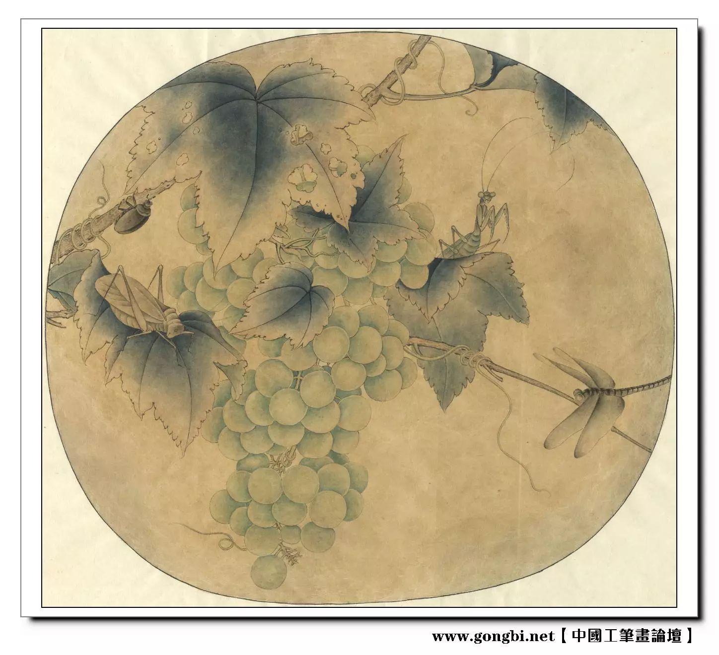 【国画技法】李晓明临宋《葡萄草虫图》绘制步骤