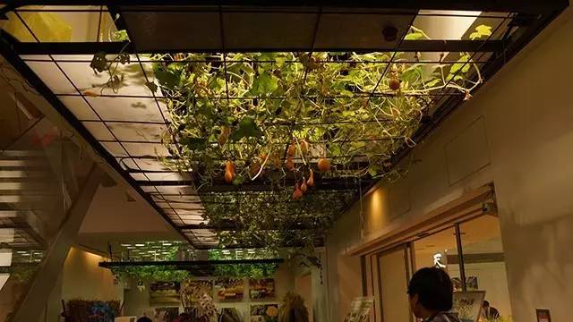 行家说
