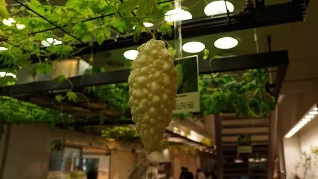 行家说