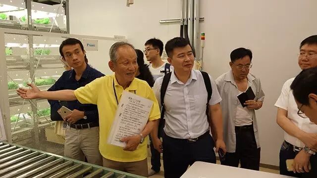 行走中的课堂 | 日本植物工厂深度游学记（第二期）