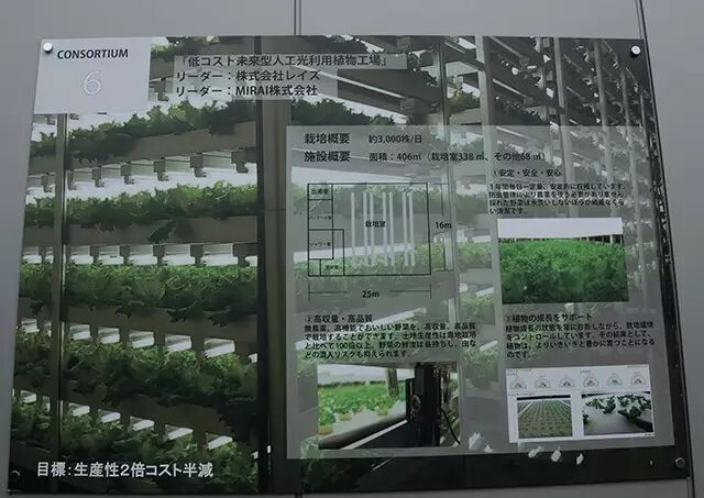 行走中的课堂 | 日本植物工厂深度游学记（第二期）