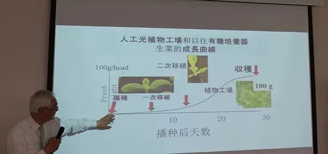 行走中的课堂 | 日本植物工厂深度游学记（第二期）
