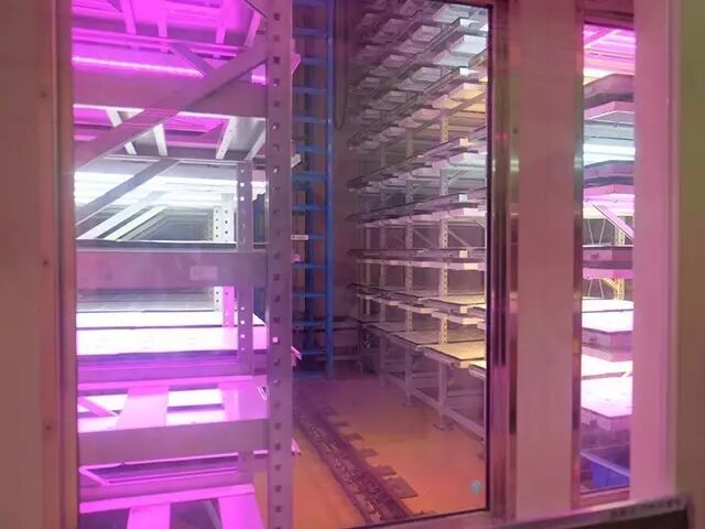 行走中的课堂 | 日本植物工厂深度游学记（第二期）