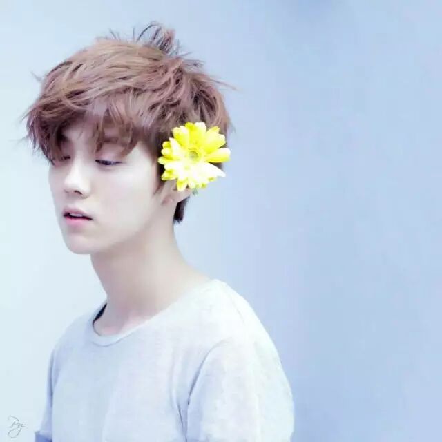 李易峰微博叫唐嫣媳妇_唐嫣结婚李易峰送祝福了吗_唐嫣结婚微博