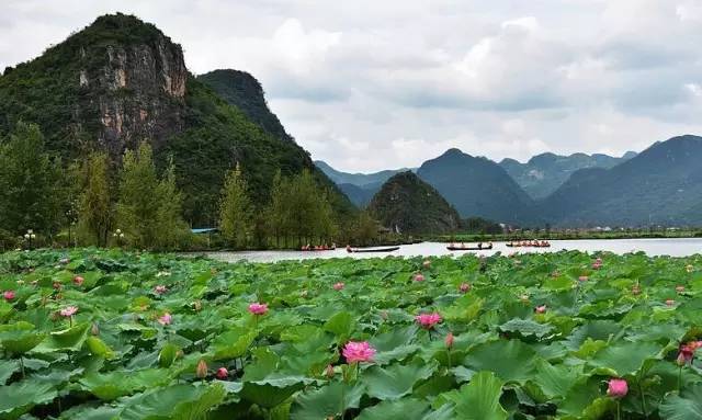 这里一到夏天就美成了荷花海快乐成了笑声的海洋